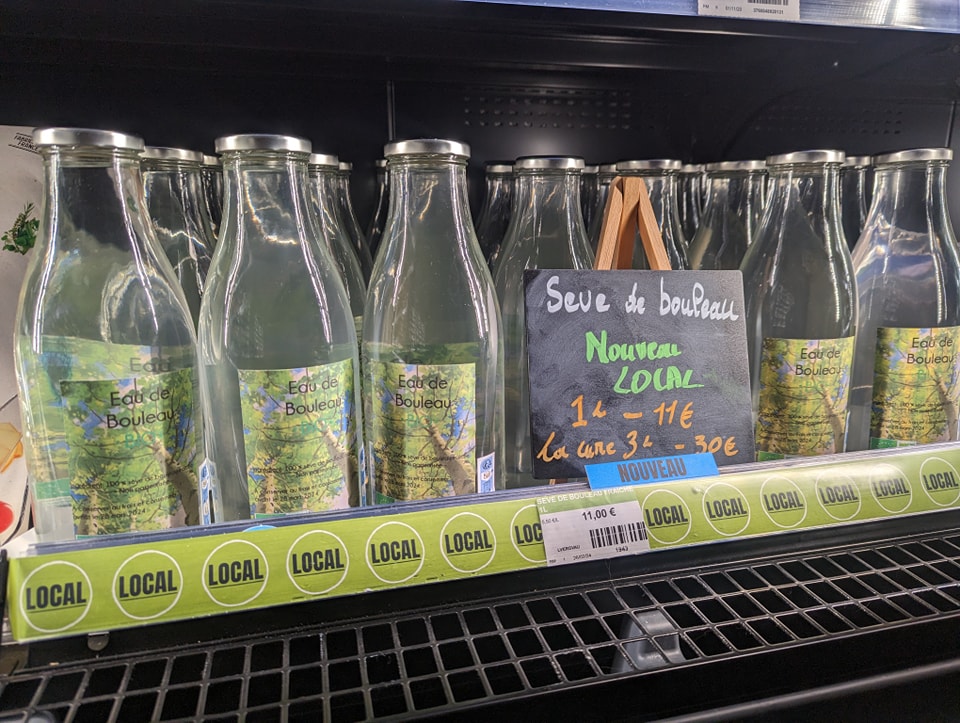 Le retour de la Sève de bouleau locale ardennaise