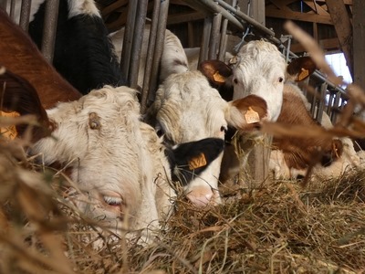 Ferme des lauriers