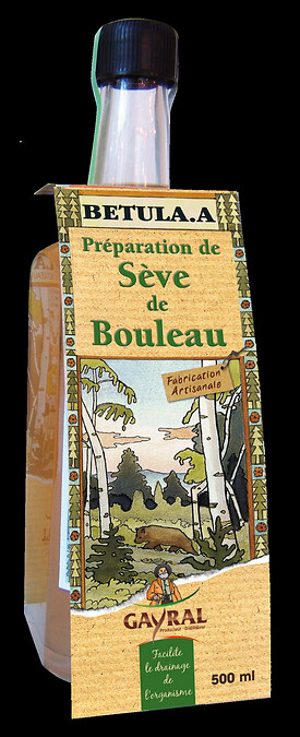 Argousier et sève de bouleau - Gayral Reynier