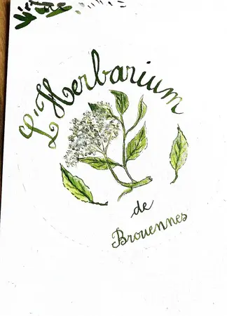 L'Herbarium de Brouennes
